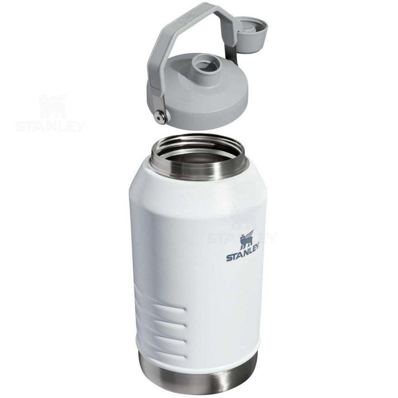 Stanley IceFlow™ Jug with Fast Flow Lid | 96 OZ Vandflaske | Danmark_S1521