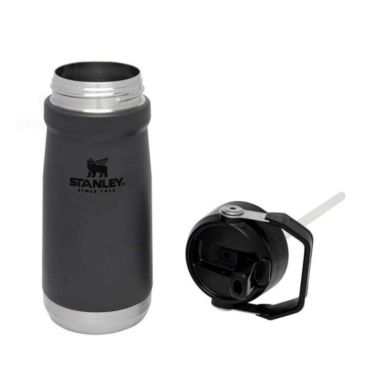 Stanley The IceFlow Flip Straw | 17 OZ Tumblers | Danmark_S1106