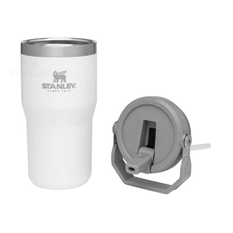 Stanley The IceFlow Flip Straw | 20 OZ Tumblers | Danmark_S1979