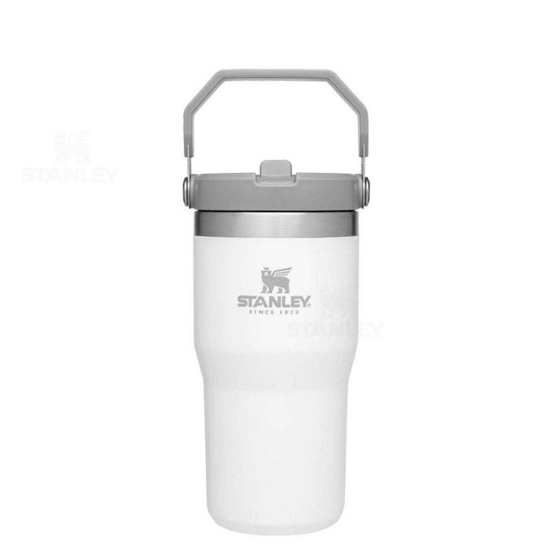 Stanley The IceFlow Flip Straw | 20 OZ Tumblers | Danmark_S1979