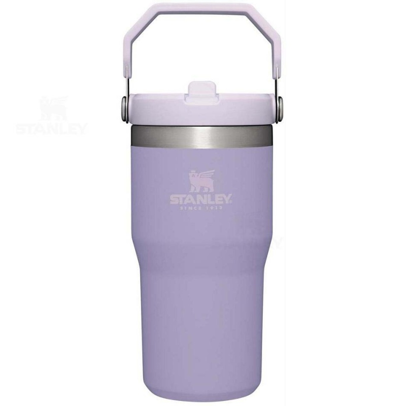 Stanley The IceFlow Flip Straw | 20 OZ Tumblers | Danmark_S1257