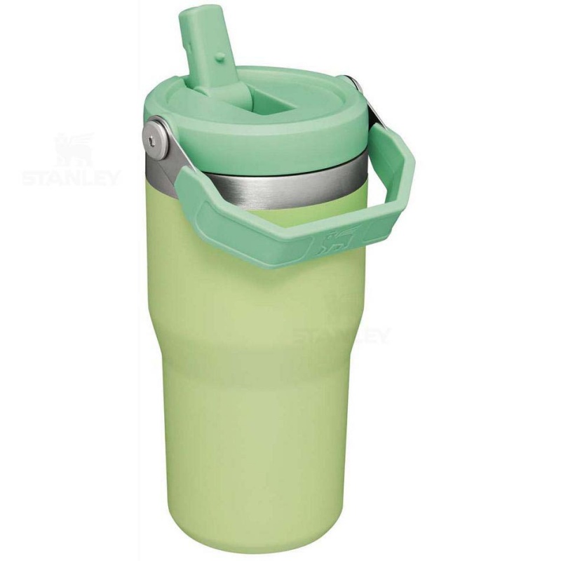 Stanley The IceFlow Flip Straw | 20 OZ Tumblers | Danmark_S2334