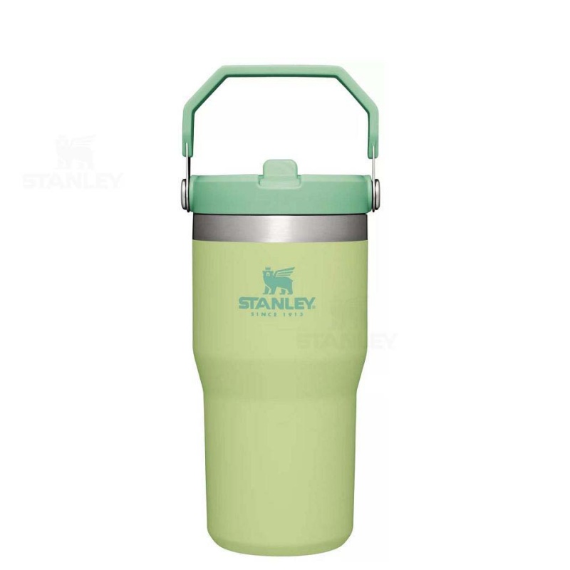 Stanley The IceFlow Flip Straw | 20 OZ Tumblers | Danmark_S2334