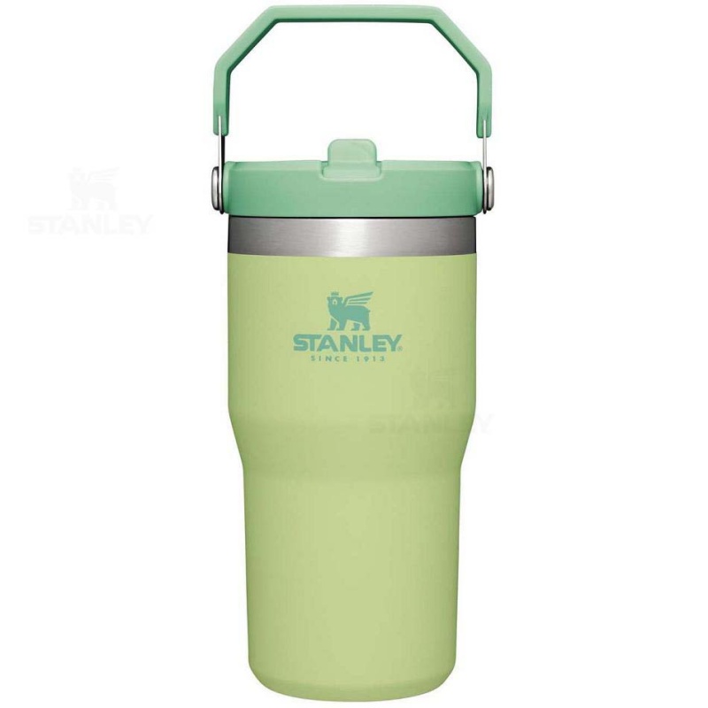 Stanley The IceFlow Flip Straw | 20 OZ Tumblers | Danmark_S1780