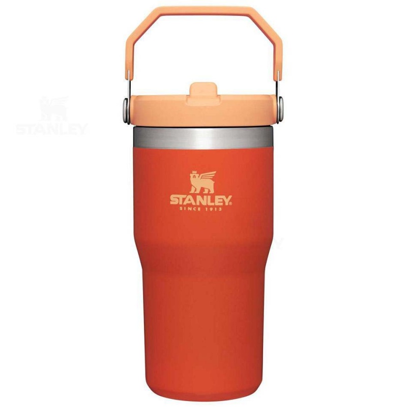 Stanley The IceFlow Flip Straw | 20 OZ Tumblers | Danmark_S1690