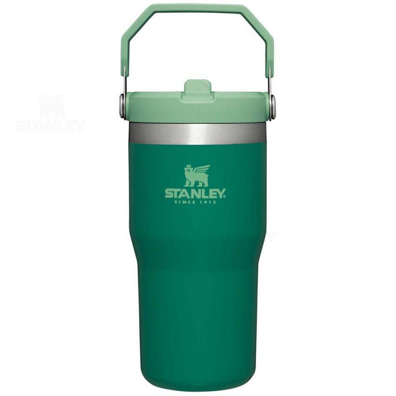 Stanley The IceFlow Flip Straw | 20 OZ Tumblers | Danmark_S1270