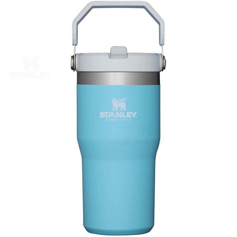 Stanley The IceFlow Flip Straw | 20 OZ Tumblers | Danmark_S2121