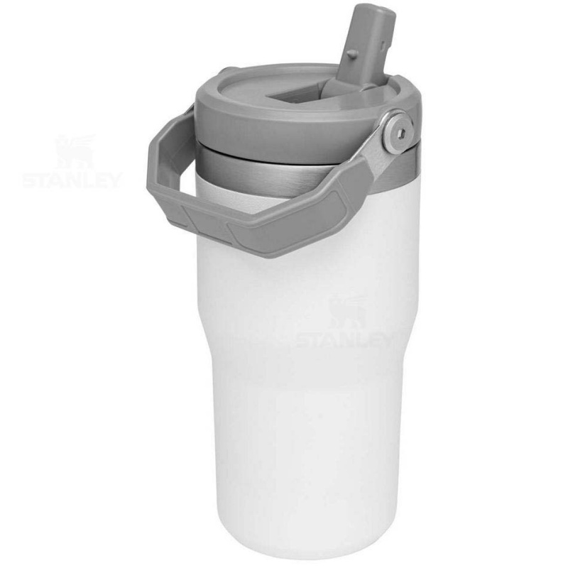 Stanley The IceFlow Flip Straw | 20 OZ Vandflaske | Danmark_S1596