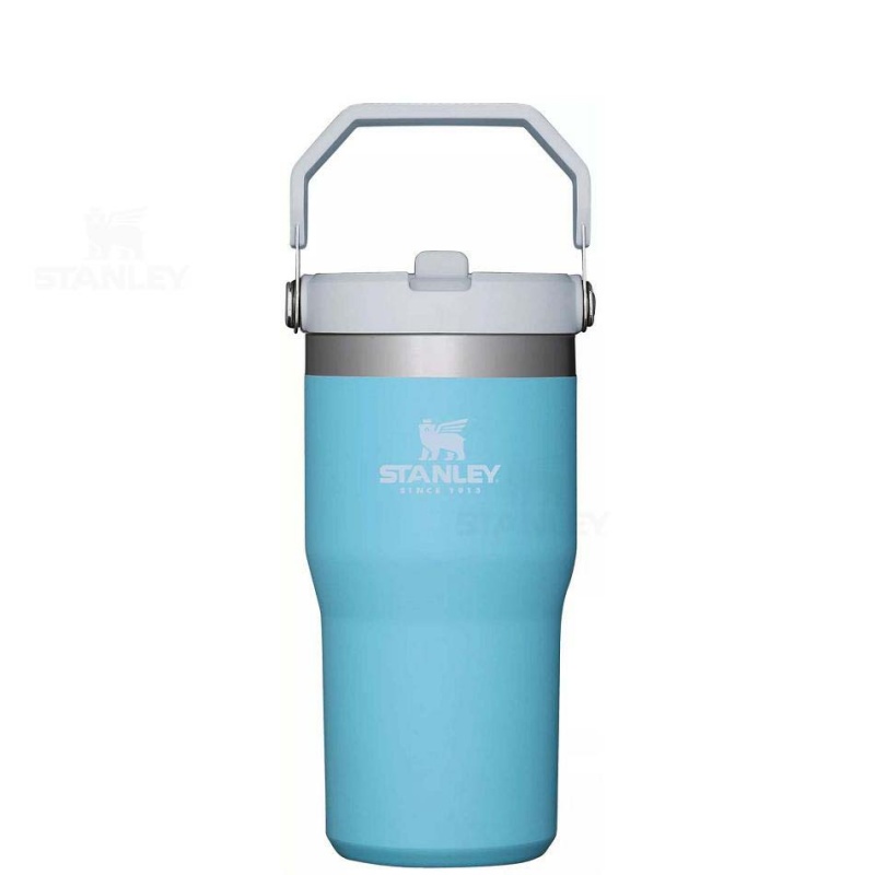 Stanley The IceFlow Flip Straw | 20 OZ Vandflaske | Danmark_S2053