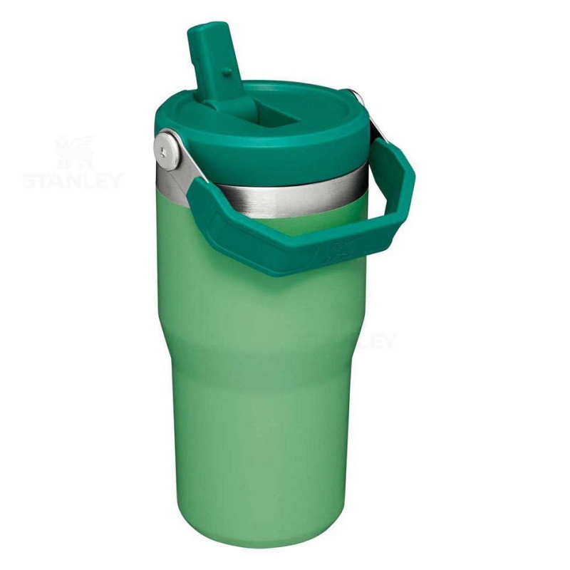 Stanley The IceFlow Flip Straw | 20 OZ Vandflaske | Danmark_S2328