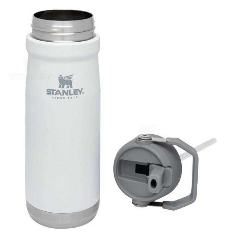 Stanley The IceFlow Flip Straw | 22 OZ Tumblers | Danmark_S1071