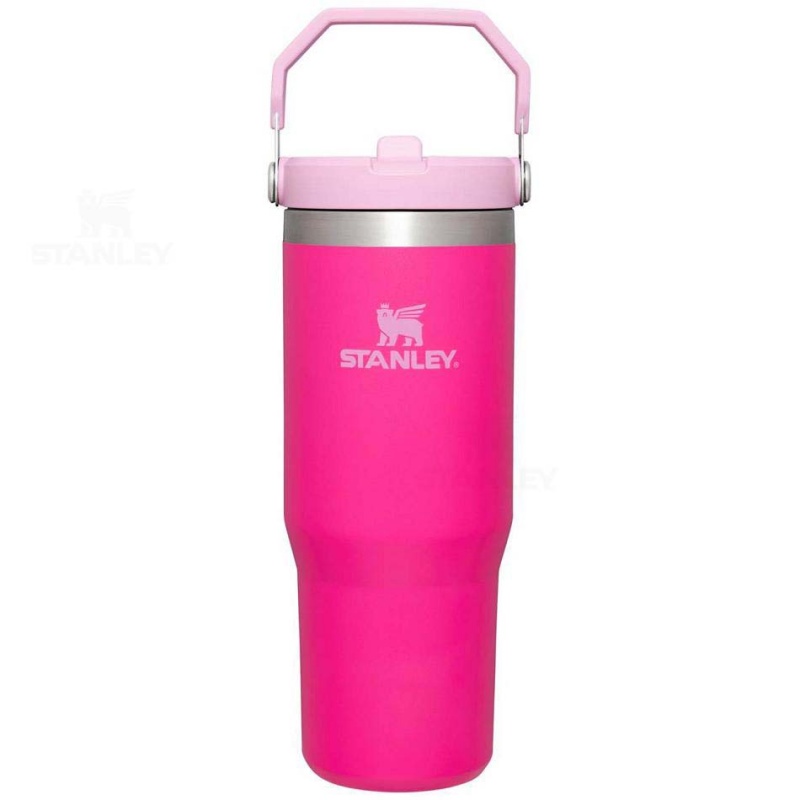 Stanley The IceFlow Flip Straw | 30 OZ Tumblers | Danmark_S1388