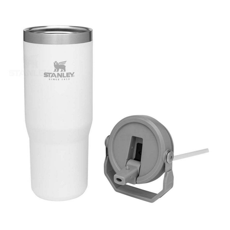 Stanley The IceFlow Flip Straw | 30 OZ Tumblers | Danmark_S1161