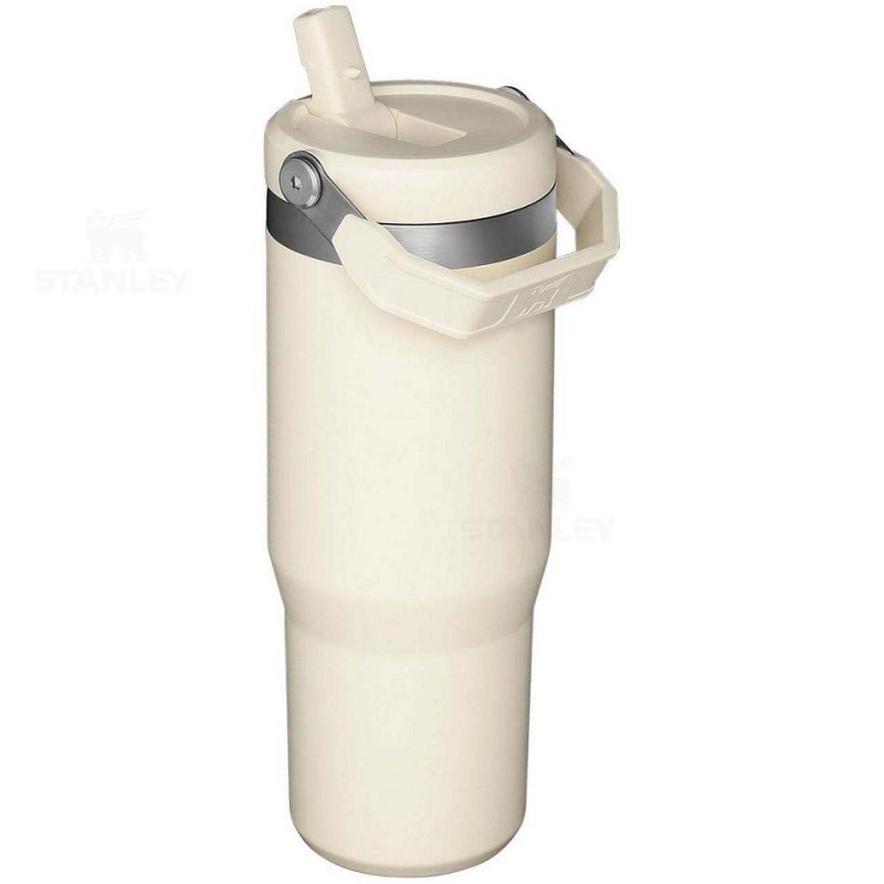 Stanley The IceFlow Flip Straw | 30 OZ Tumblers | Danmark_S1130