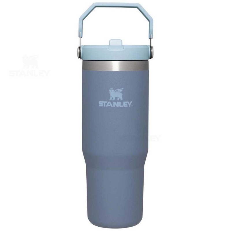 Stanley The IceFlow Flip Straw | 30 OZ Tumblers | Danmark_S1605