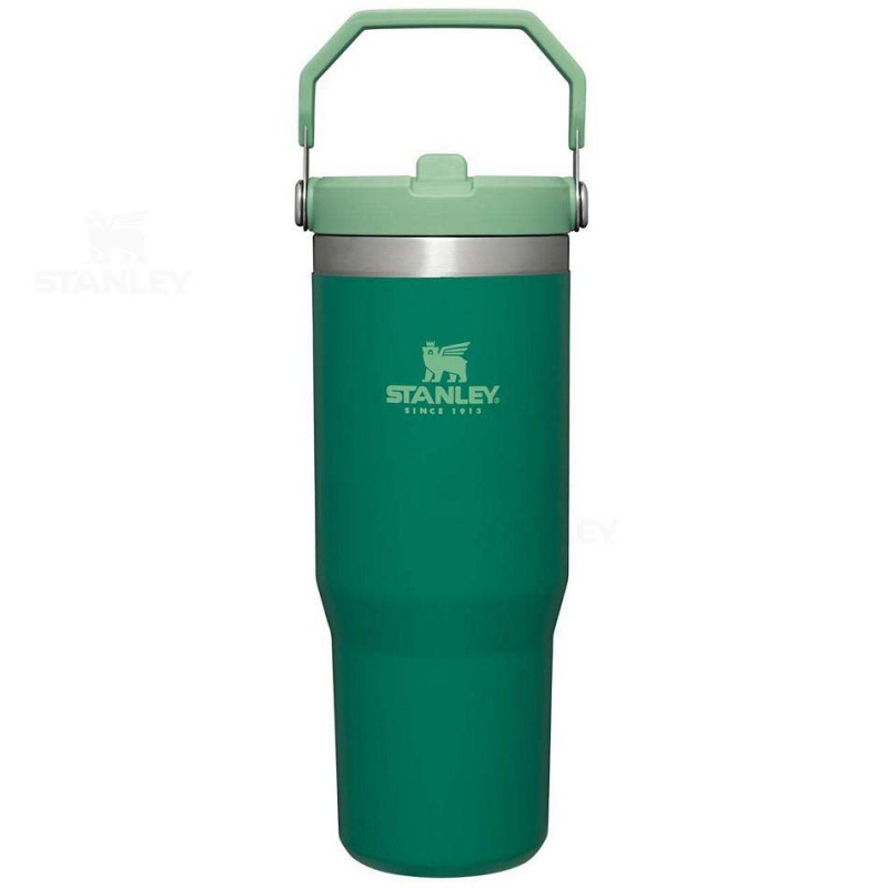 Stanley The IceFlow Flip Straw | 30 OZ Tumblers | Danmark_S1018