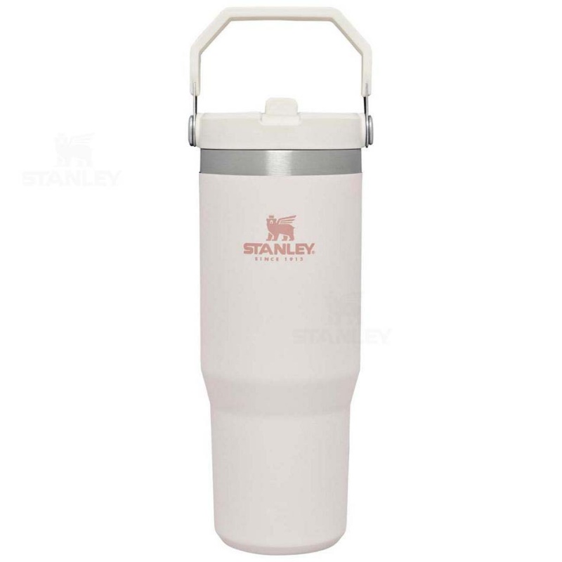 Stanley The IceFlow Flip Straw | 30 OZ Tumblers | Danmark_S1937