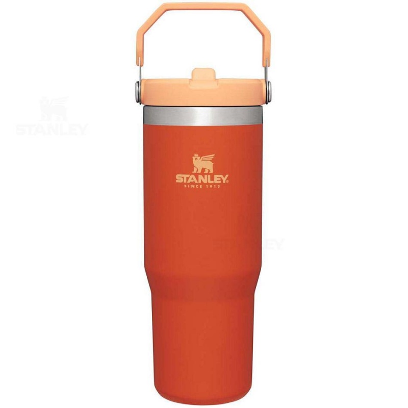 Stanley The IceFlow Flip Straw | 30 OZ Tumblers | Danmark_S2181