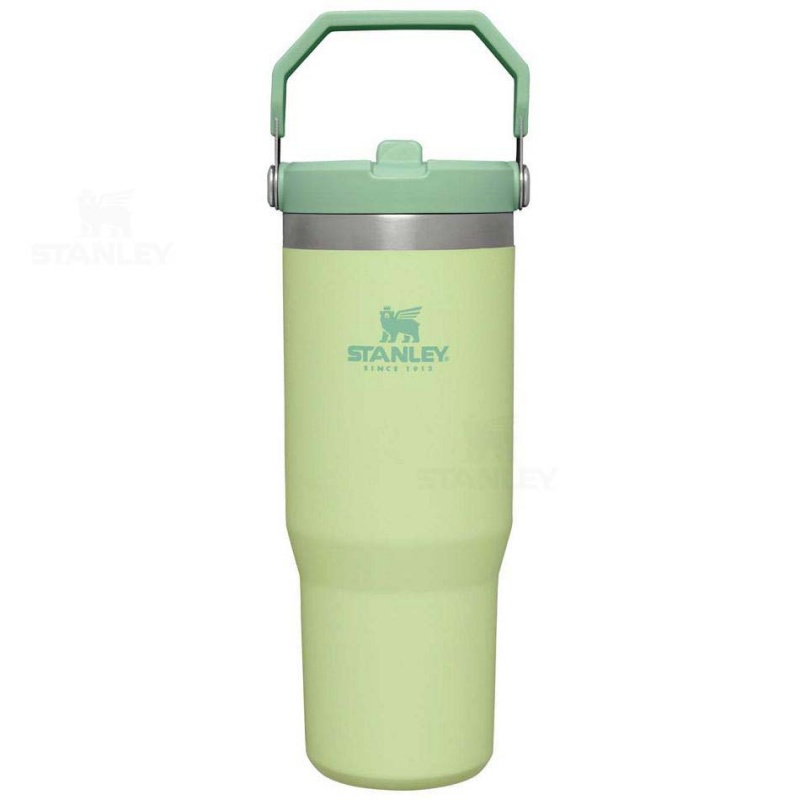 Stanley The IceFlow Flip Straw | 30 OZ Tumblers | Danmark_S1044