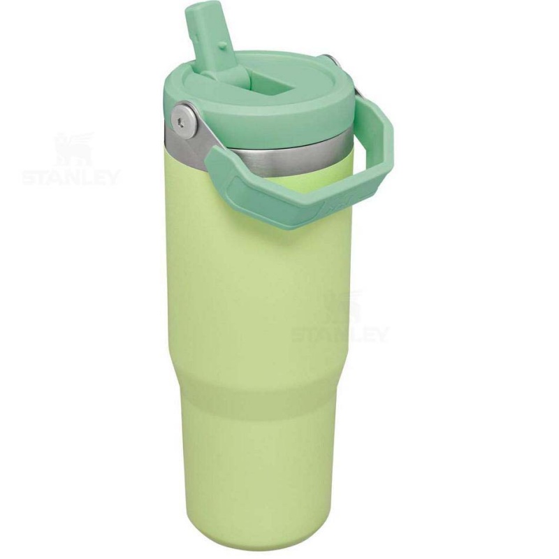 Stanley The IceFlow Flip Straw | 30 OZ Vandflaske | Danmark_S2383