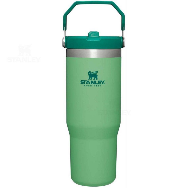 Stanley The IceFlow Flip Straw | 30 OZ Vandflaske | Danmark_S1178