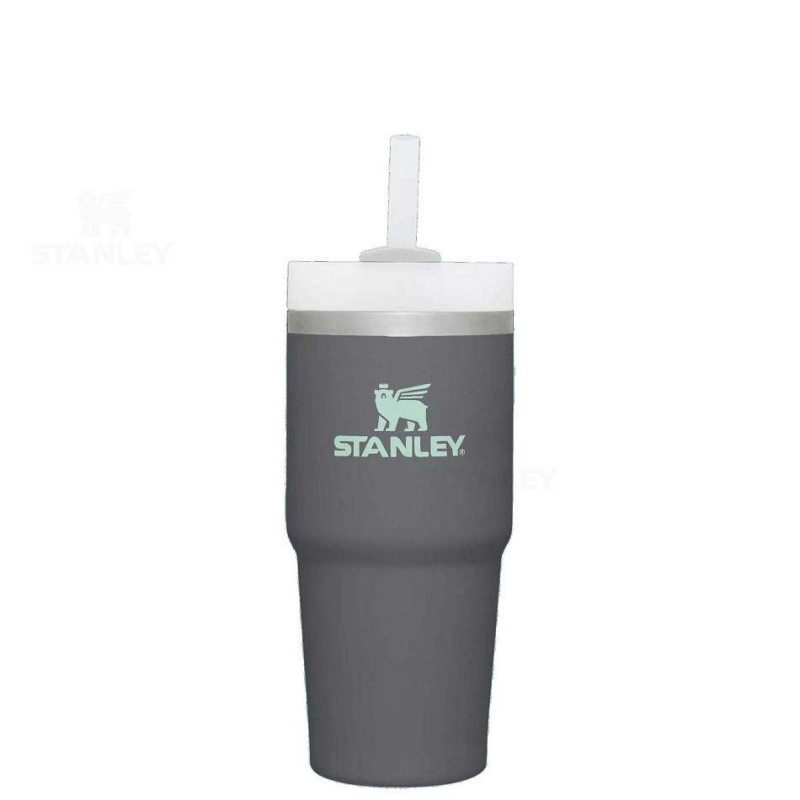 Stanley The Quencher H2.0 FlowState™ 14 OZ | Danmark_S1657