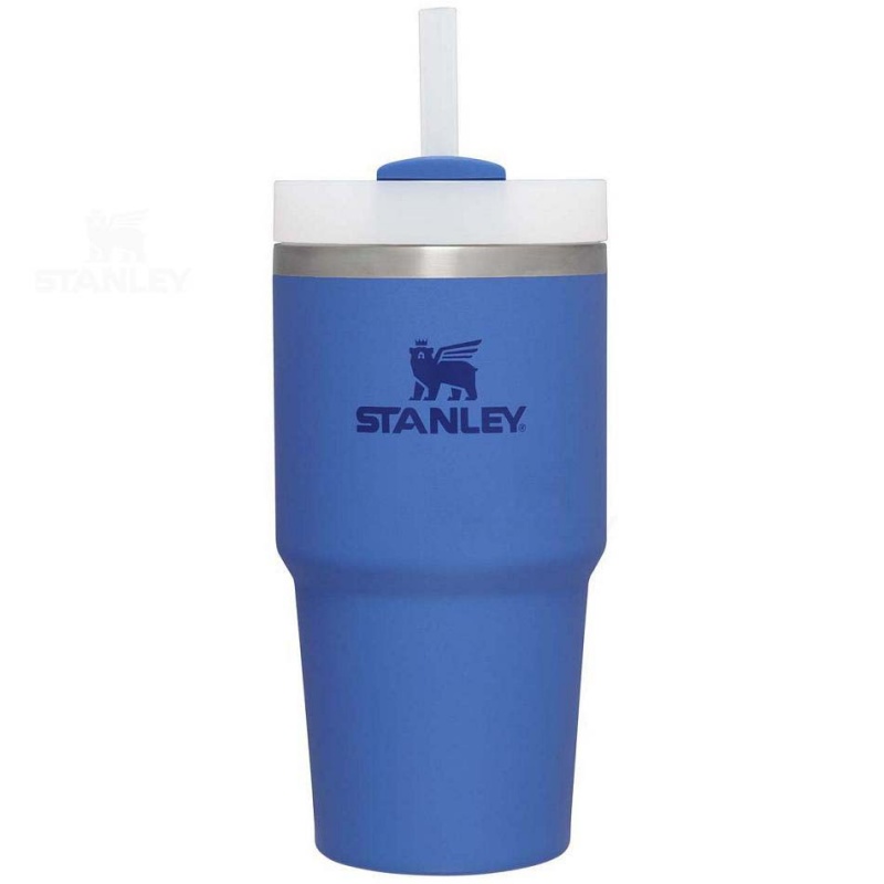 Stanley The Quencher H2.0 FlowState™ 20 OZ | Danmark_S2303