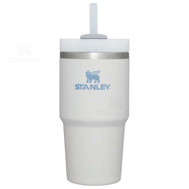 Stanley The Quencher H2.0 FlowState™ 20 OZ | Danmark_S1468