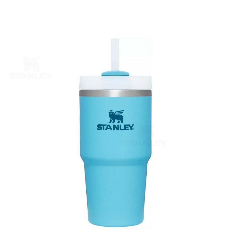 Stanley The Quencher H2.0 FlowState™ 20 OZ | Danmark_S2169