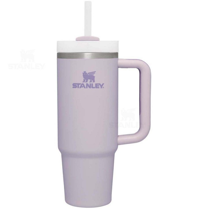 Stanley The Quencher H2.0 FlowState™ (Soft Matte) | 30 OZ Tumblers | Danmark_S1052