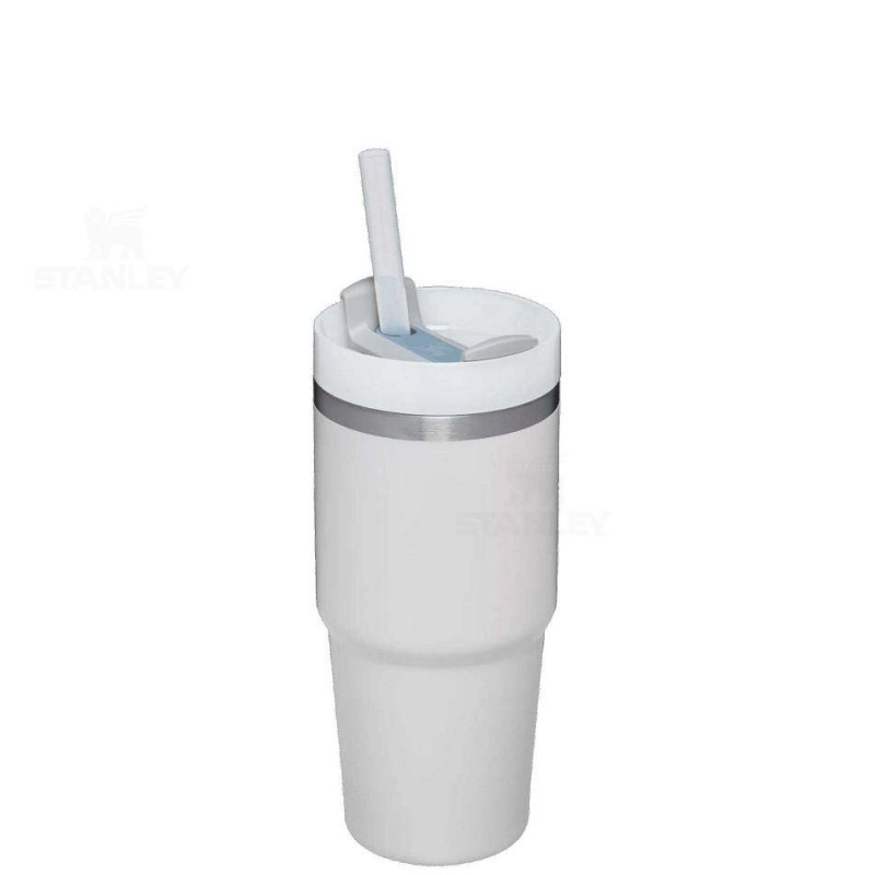 Stanley The Quencher H2.0 FlowState™ | 14 OZ Tumblers | Danmark_S2316