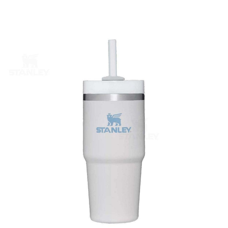 Stanley The Quencher H2.0 FlowState™ | 14 OZ Tumblers | Danmark_S2316