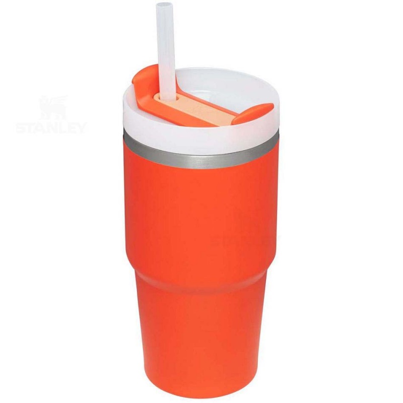 Stanley The Quencher H2.0 FlowState™ | 20 OZ Tumblers | Danmark_S2371