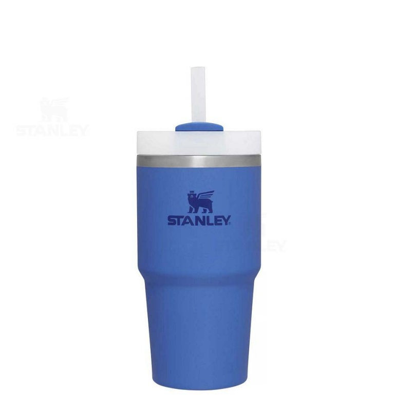 Stanley The Quencher H2.0 FlowState™ | 20 OZ Tumblers | Danmark_S1254