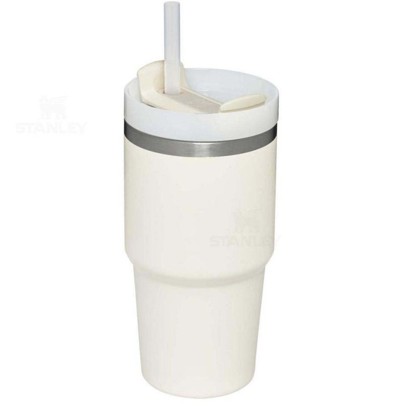 Stanley The Quencher H2.0 FlowState™ | 20 OZ Tumblers | Danmark_S1833