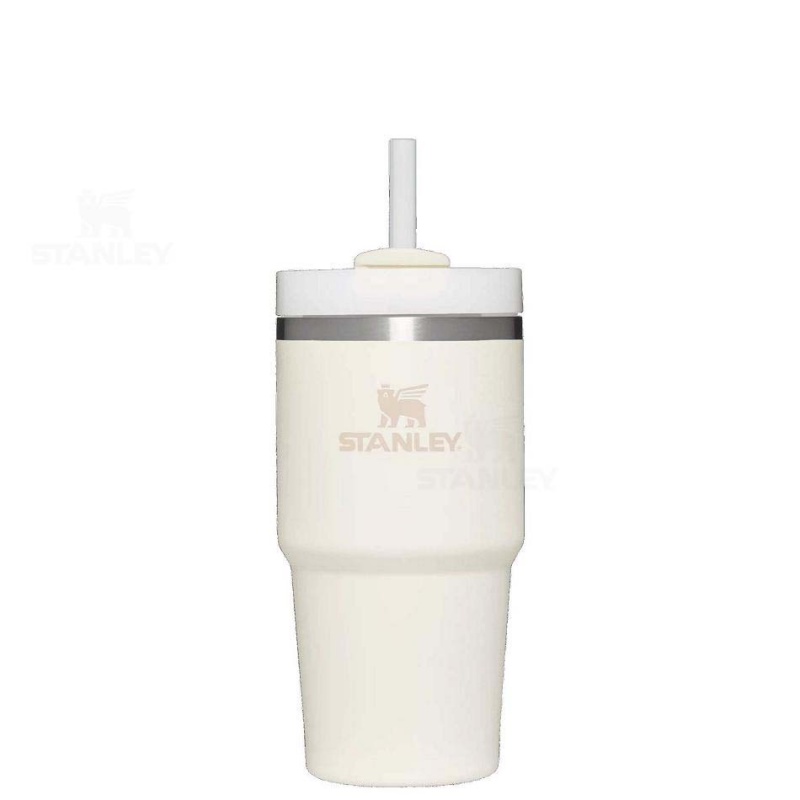 Stanley The Quencher H2.0 FlowState™ | 20 OZ Tumblers | Danmark_S1833