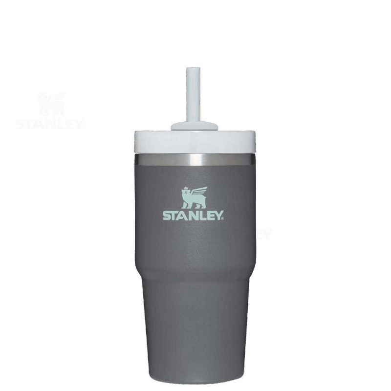 Stanley The Quencher H2.0 FlowState™ | 20 OZ Tumblers | Danmark_S2044