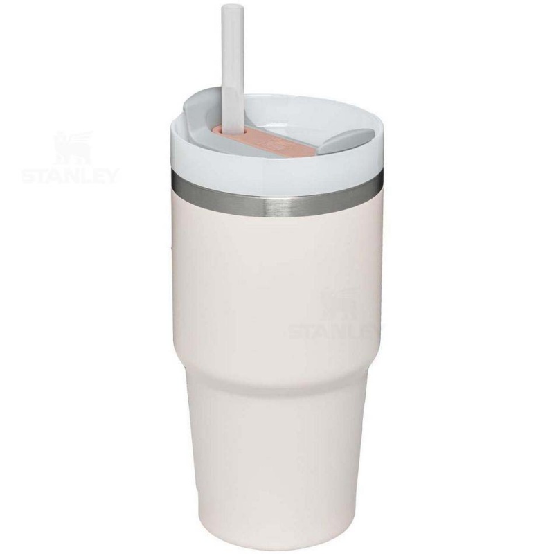 Stanley The Quencher H2.0 FlowState™ | 20 OZ Tumblers | Danmark_S1398