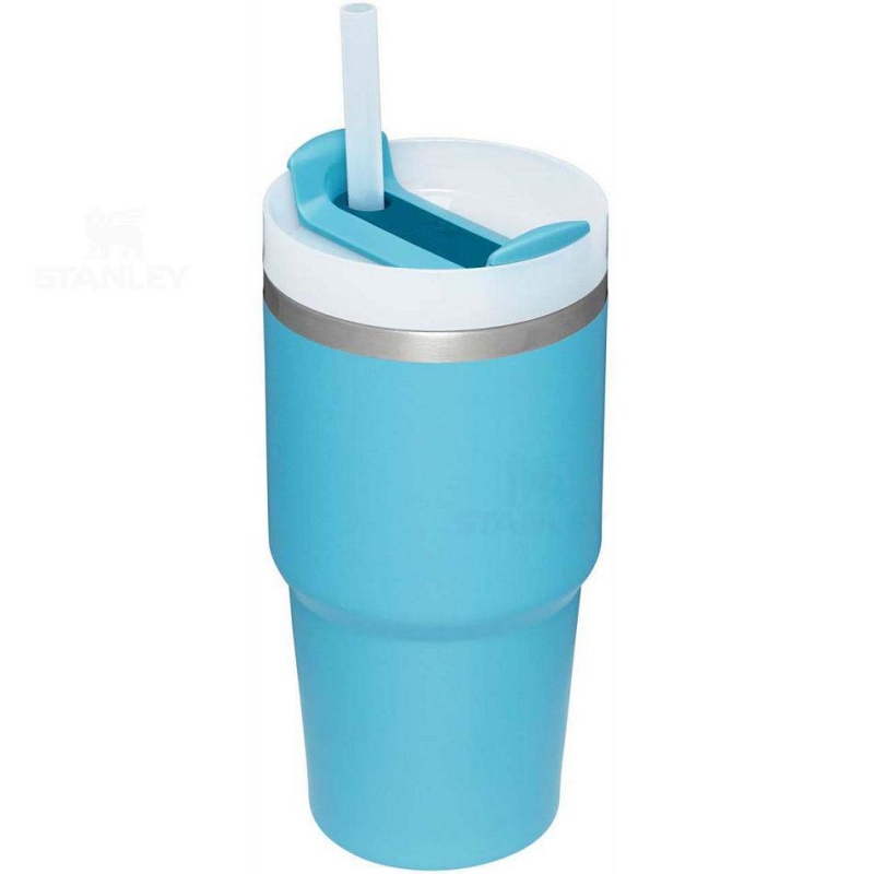 Stanley The Quencher H2.0 FlowState™ | 20 OZ Tumblers | Danmark_S1625