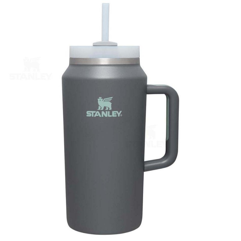 Stanley The Quencher H2.0 FlowState™ | 64 OZ Tumblers | Danmark_S2347