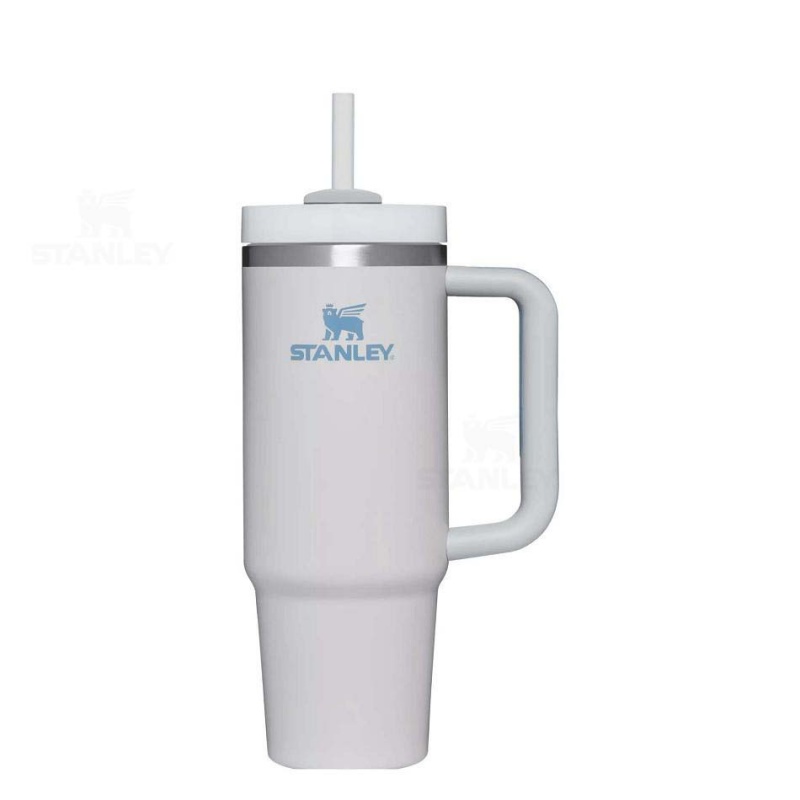 Stanley The Quencher H2.0 Flowstate™ | 30 OZ Tumblers | Danmark_S1248