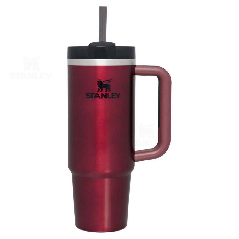 Stanley The Quencher H2.0 Flowstate™ | 30 OZ Tumblers | Danmark_S1606